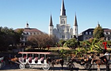 New Orleans Private Tours12