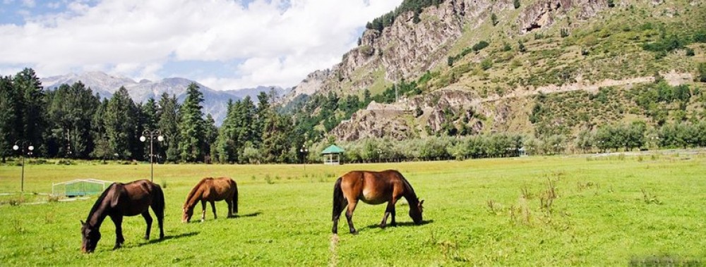 Private 8 Day Exotic Kerala Tour