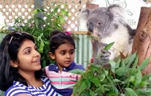 Blue Mountains Private Tours with Wildlife Park
