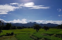 5 Day The Best of Northern Thailand Experience from Chiang Mai