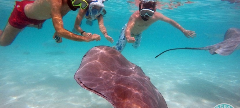 Discovery - 2 Hours Excursion by Clear Kayak