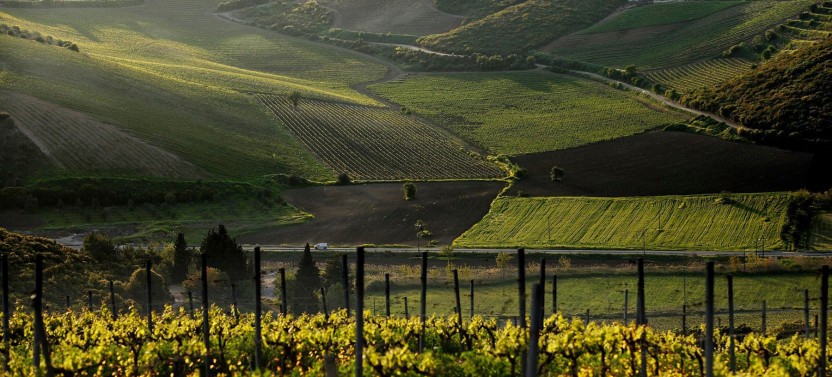 Private Mycenae, Ancient Nemea Wine Tour from Athens