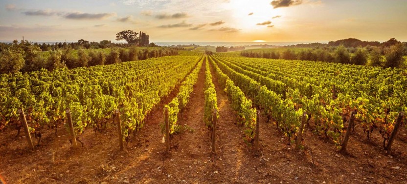 Private Mycenae, Ancient Nemea Wine Tour from Athens