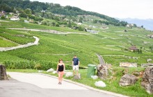 ARATOURS SA (AlpTransfer, AlpExcursion, Switzerland Tour)6