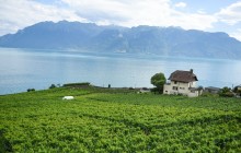 ARATOURS SA (AlpTransfer, AlpExcursion, Switzerland Tour)7