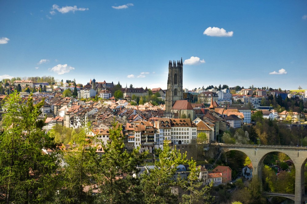 Fribourg & Gruyères on a Private Trip