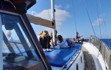 Ancient Delos & Rhenia Island Cruise