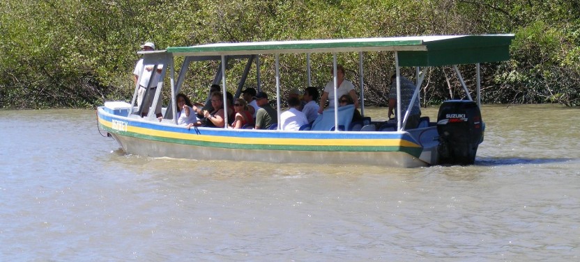 Jungle River Cruise @ Palo Verde National Park
