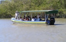 Jungle River Cruise @ Palo Verde National Park
