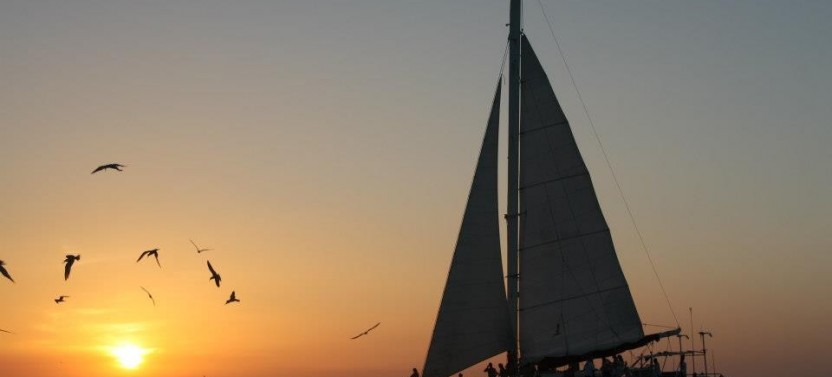 Sunset Catamaran Tour