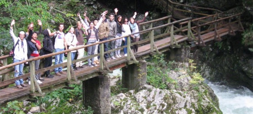 Private Alpine Fairytale with Lake Bled + Bohinj