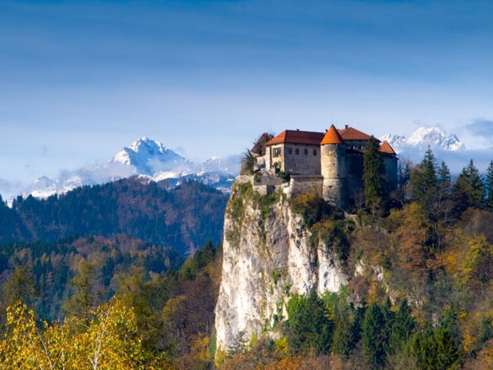 Private Bled Fairytale Half Day Tour from Ljubljana