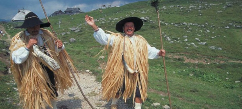 Private Kamnik And Velika Planina From Ljubljana