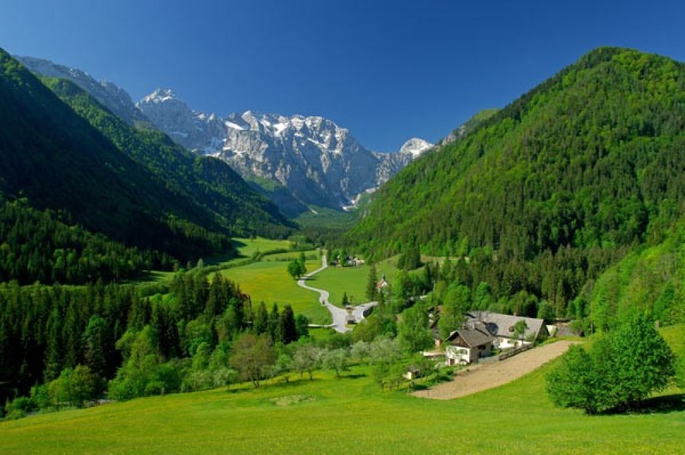 Private Logarska Valley Tour