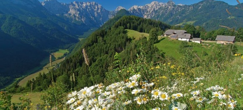 Private Logarska Valley Tour