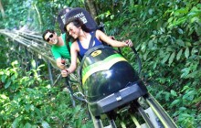 Jamaica Bobsled Adventure Tour from Falmouth