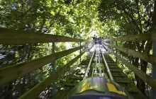 Mystic Mountain Jamaica Bobsled Adventure Tour from Montego Bay