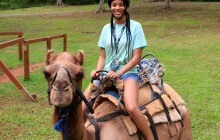 Ocho Rios Outback Adventure with Camel Ride
