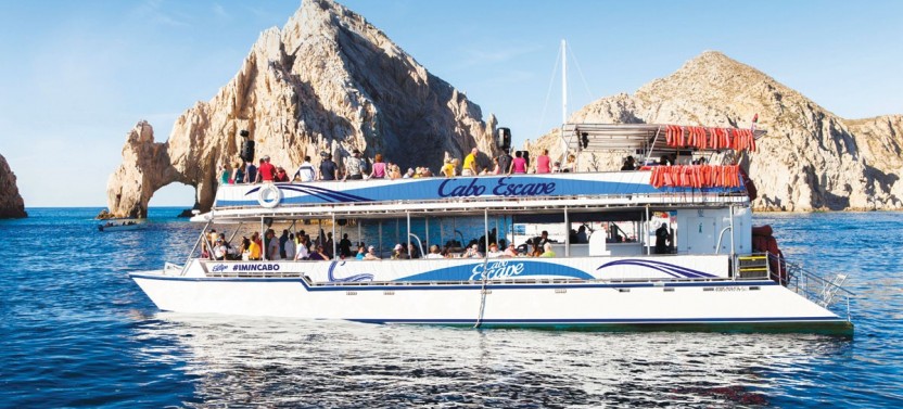 Whale Watching & Breakfast Cruise