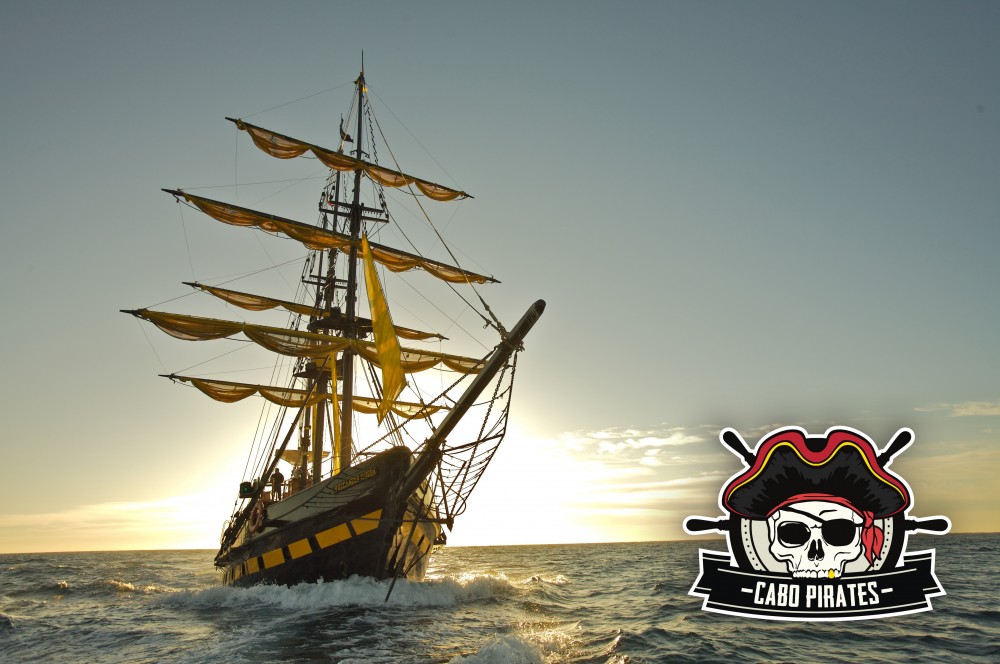 Wild Cabo Tours