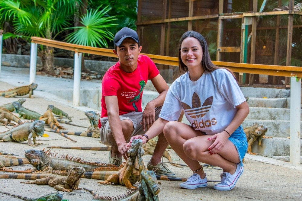 Игуана парк анапа