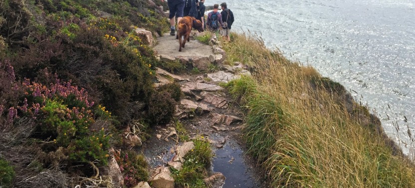 Howth Peninsula Hiking Tour