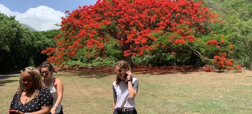 Rosevelt's Special Best of St. Kitts Excursion