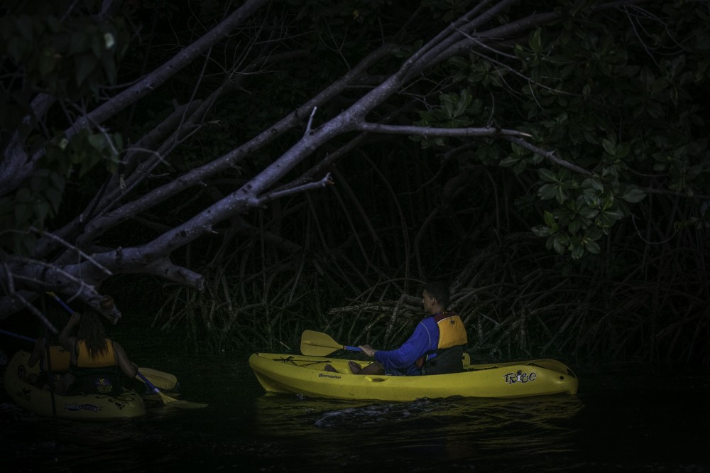 Bioluminescent Bay Night Kayaking Tour w/ pickup from San Juan - San ...