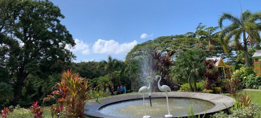 Plantation and Beach Extravaganza