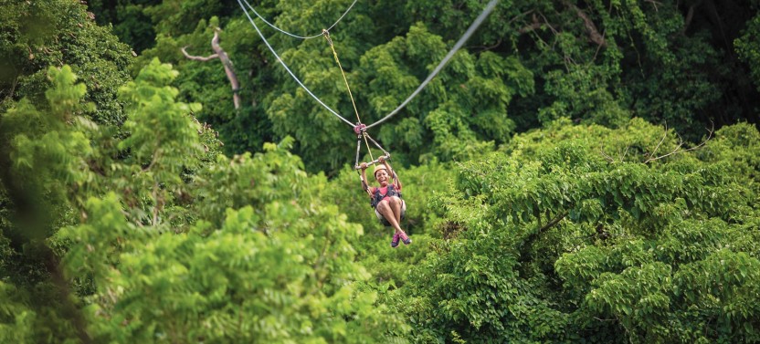 Rainforest Tour