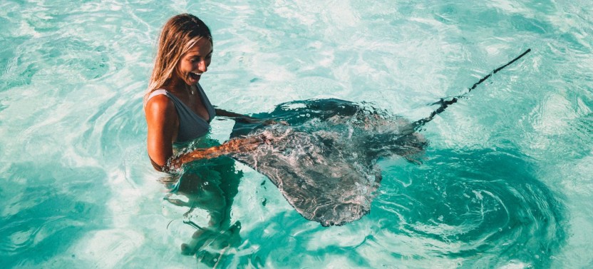 Private Combo Jet ski + Lagoon Safari +  Lunch