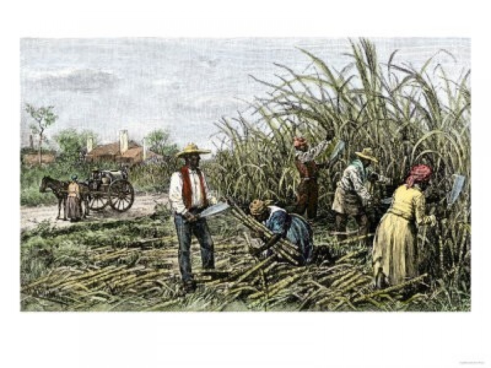 Slavery in Louisiana Native-Led Tour