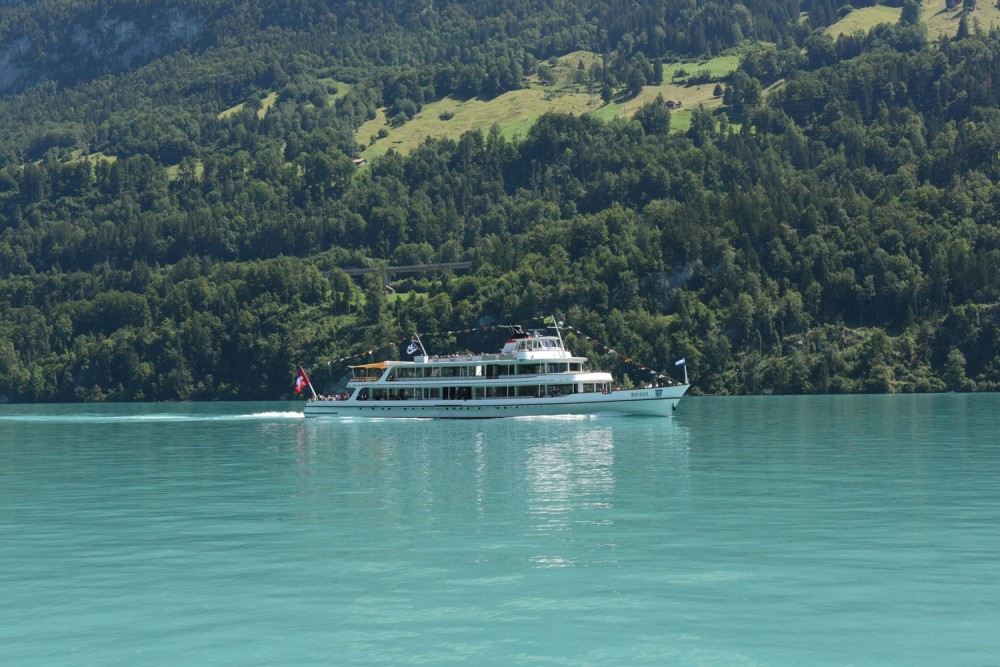 Private Alpine Panoramic Tour to Interlaken, Lake Brienz Geneva