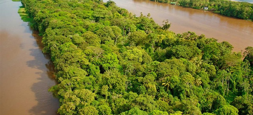 9 Day Costa Rica Rainforest Extravaganza with Puerto Jimenez
