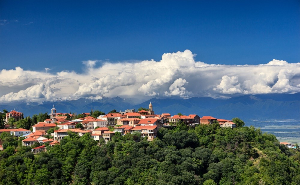 Private Kakheti Wine Region Tour - Tbilisi