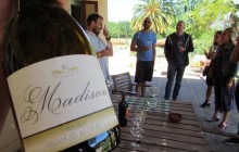 Maipo Valley Wine Tours