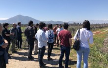 Maipo Valley Wine Tours10