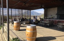 Maipo Valley Wine Tours13