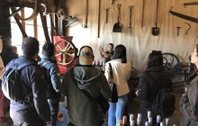 Maipo Valley Wine Tours15