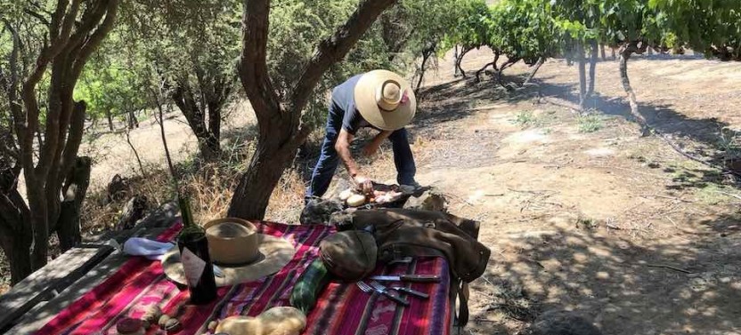 Horseback Wine Tour and a Chilean Country Grill - Private Tour