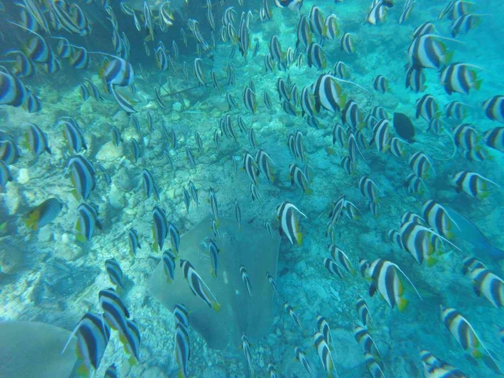 Secret Paradise Maldives