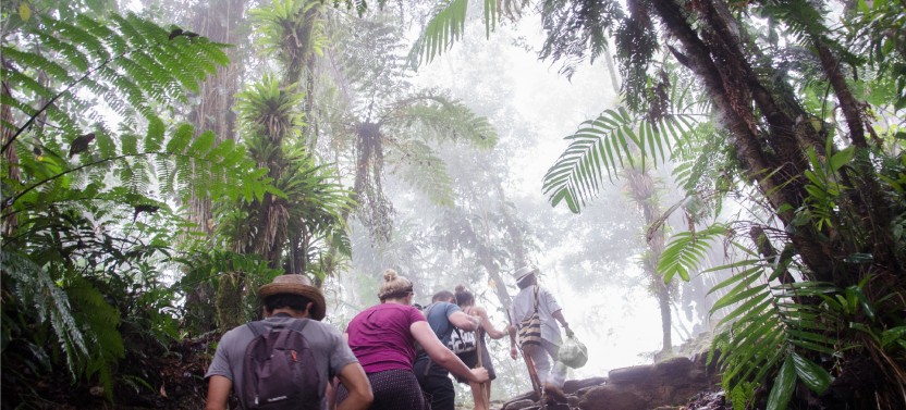 Ciudad Perdida 4-Day Trek From Santa Marta