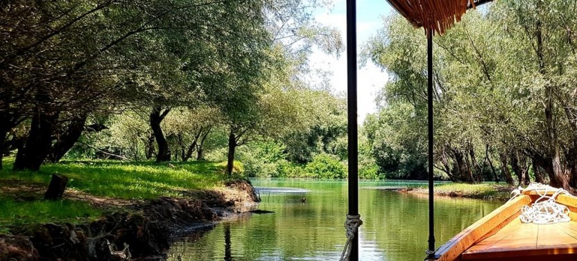 Kotor Tour: Skadar Lake Boat Experience & Budva Old Town