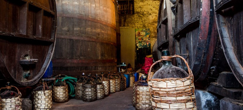 Isla de Maipo Wine Lovers Premium Tour