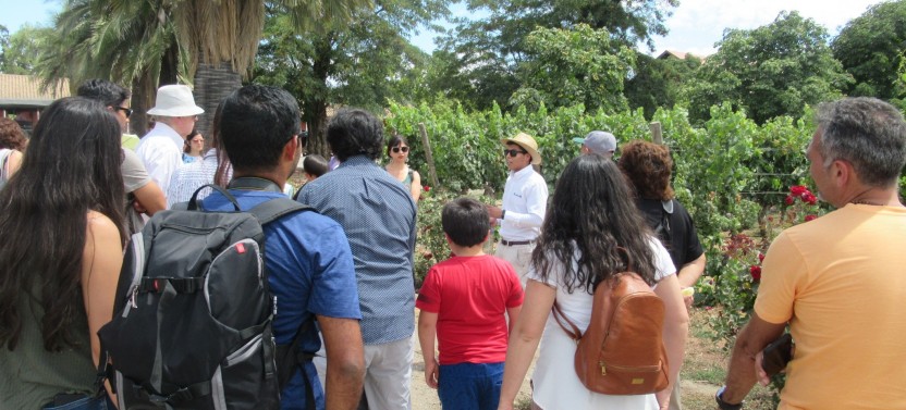 Santa Rita Winery and Lunch Half Day Tour