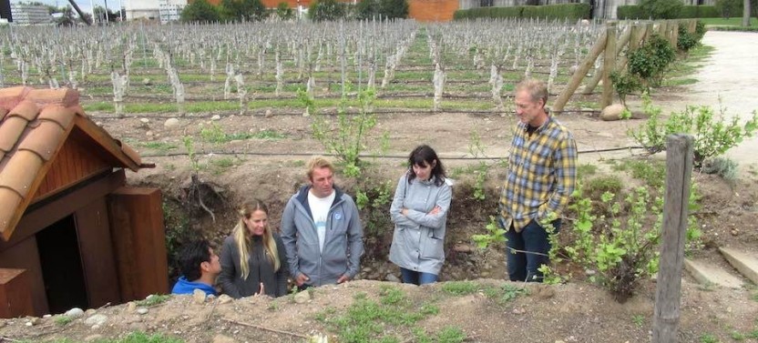 Maipo Valley Top Wineries Private Tours & Tastings from Santiago