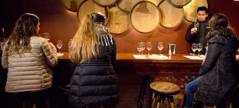 Maipo Valley Top Wineries Private Tours & Tastings from Santiago