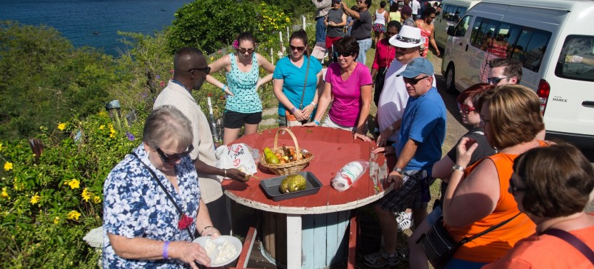 Rosevelt's Special Best of St. Kitts Excursion