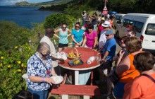 Rosevelt's Special Best of St. Kitts Excursion