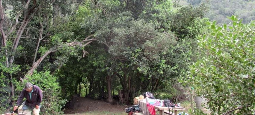 Private Wine Trekking Tour and a Chilean Country Grill